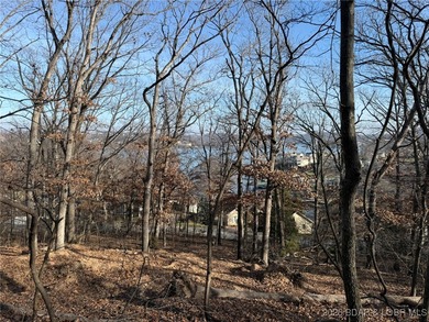Lake of the Ozarks Lot For Sale in Sunrise Beach Missouri