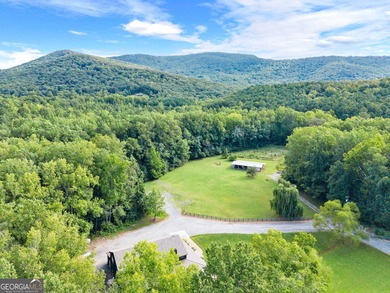 (private lake, pond, creek) Acreage For Sale in Jasper Georgia