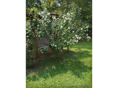 Two great lots with seasonal lake view to build your own home