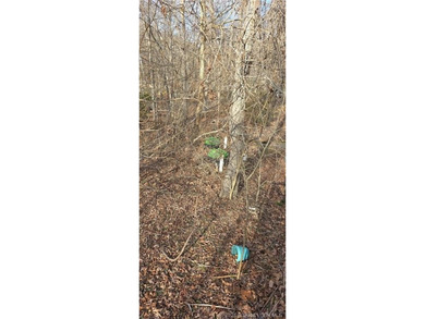 Two great lots with seasonal lake view to build your own home - photo 8