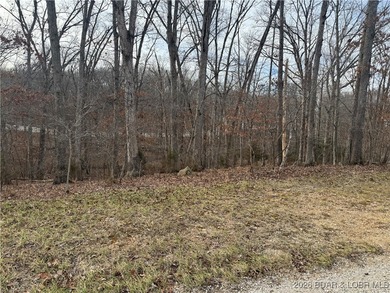Lake View Lot in Four Seasons! Build your dream home in one of - photo 2