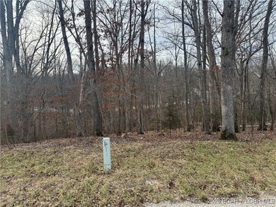 Lake View Lot in Four Seasons! Build your dream home in one of - photo 3