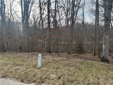 Lake View Lot in Four Seasons! Build your dream home in one of - photo 4