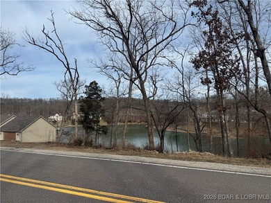 Lake View Lot in Four Seasons! Build your dream home in one of - photo 8