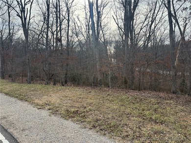 Lake View Lot in Four Seasons! Build your dream home in one of - photo 9