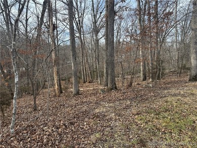 Lake View Lot in Four Seasons! Build your dream home in one of - photo 10