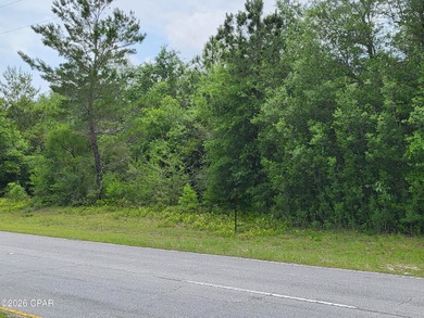 Gap Lake  Lot For Sale in Chipley Florida