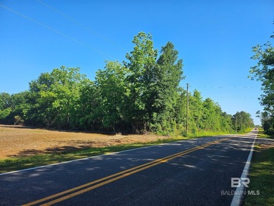 Tired of strict HOAs, micro-managing zoning boards, and tiny - photo 7