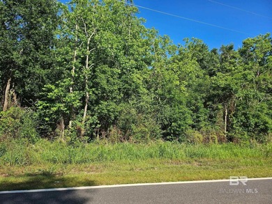 Tired of strict HOAs, micro-managing zoning boards, and tiny - photo 8