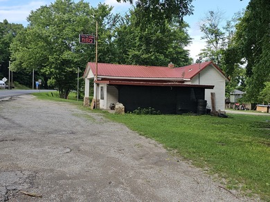 Lake Home For Sale in Pineville, Missouri