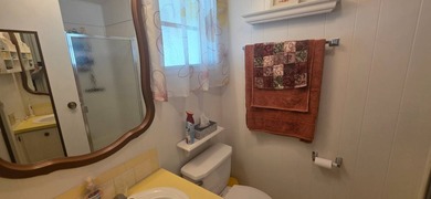 751 10th St E Lot 114 Palmetto FL. 34221 Palm Bay Mobile Home - photo 4