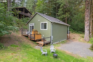 Lake Home For Sale in Birkenfeld, Oregon