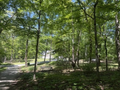 BIG REDUCTION!  Acreage Close to the LakeS Call Dottie! - photo 3