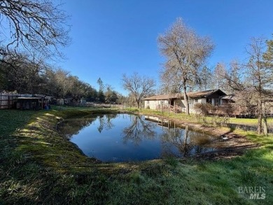 Lake Home For Sale in Redwood Valley, California