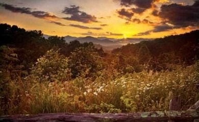 Lake Acreage For Sale in Clayton, Georgia