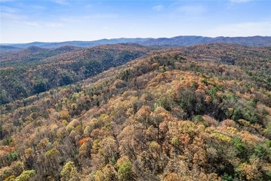 Lake Acreage For Sale in Clayton, Georgia