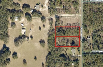 Lake Acreage For Sale in Dunnellon, Florida