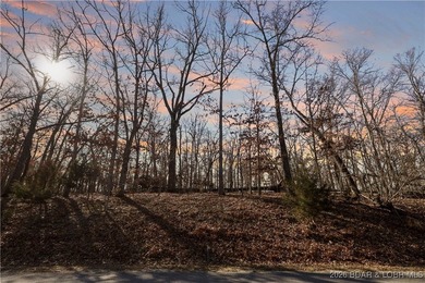 Discover an exceptional opportunity to build your dream home in - photo 7