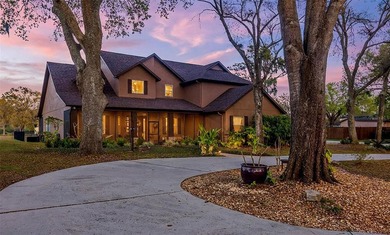 (private lake, pond, coastal) Home For Sale in Lutz Florida