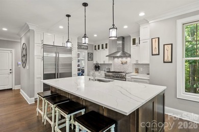 Welcome to refined Lake Norman living in the desirable Lakewood - photo 3