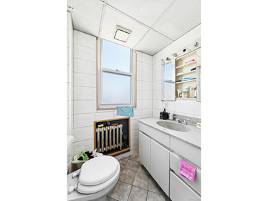 Excellent investment opportunity in the heart of Flushing - photo 11