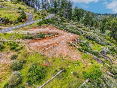 GORGEOUS VIEWS ABOUND! At almost half an acre, including - photo 11