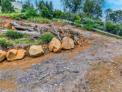GORGEOUS VIEWS ABOUND! At almost half an acre, including - photo 13