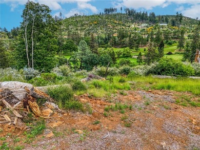 GORGEOUS VIEWS ABOUND! At almost half an acre, including - photo 15