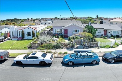 1055 W 17th - photo 3