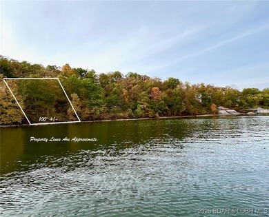 Stunning 100-foot lakefront lot with breathtaking, miles-long - photo 9