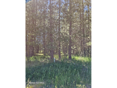 Upper Klamath Lake Lot For Sale in Klamath Falls Oregon