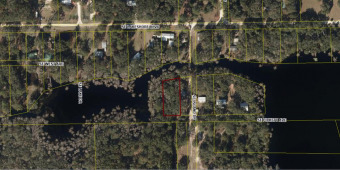 Picket Lake Lot For Sale in Branford Florida
