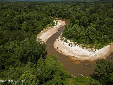 Welcome to 108+- acres in Summit, MS, located on the beautiful - photo 11