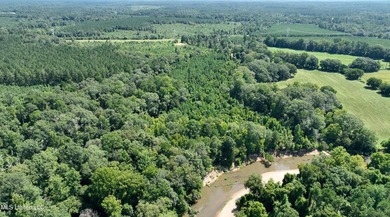 Welcome to 108+- acres in Summit, MS, located on the beautiful - photo 13