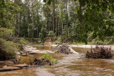 Welcome to 108+- acres in Summit, MS, located on the beautiful - photo 14