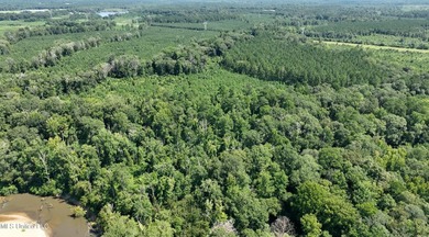 Welcome to 108+- acres in Summit, MS, located on the beautiful - photo 15