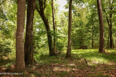 Welcome to 108+- acres in Summit, MS, located on the beautiful - photo 20