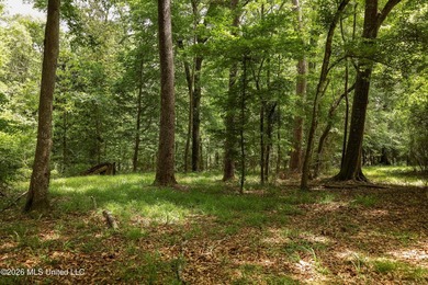Welcome to 108+- acres in Summit, MS, located on the beautiful - photo 21