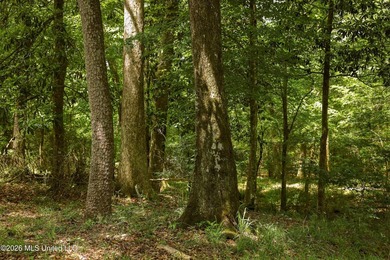 Welcome to 108+- acres in Summit, MS, located on the beautiful - photo 23
