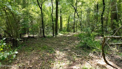 Welcome to 108+- acres in Summit, MS, located on the beautiful - photo 24