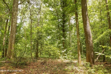 Welcome to 108+- acres in Summit, MS, located on the beautiful - photo 25