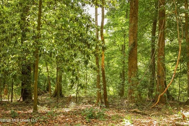 Welcome to 108+- acres in Summit, MS, located on the beautiful - photo 27