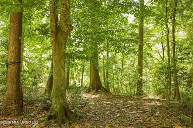 Welcome to 108+- acres in Summit, MS, located on the beautiful - photo 28
