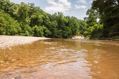 Welcome to 108+- acres in Summit, MS, located on the beautiful - photo 29