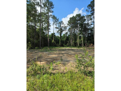 Anchor Lake Lot For Sale in Carriere Mississippi