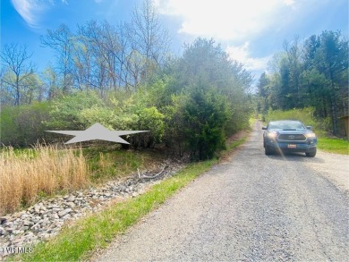 Lake Lot For Sale in Butler, Tennessee