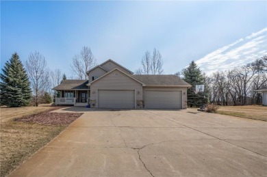 Chain Lake Home For Sale in North Branch Minnesota