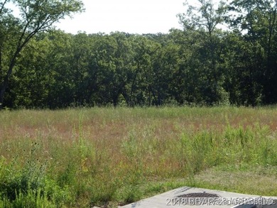 Vacant Land at Parkside Village, just off Osage Beach Parkway on - photo 3