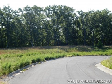 Vacant Land at Parkside Village, just off Osage Beach Parkway on - photo 4