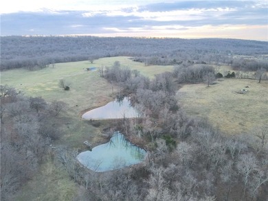 Welcome to this remarkable 275 +/- acre farm offering a rare - photo 12
